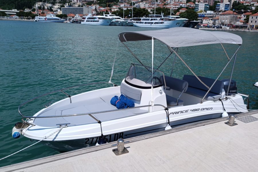 Prince 490
