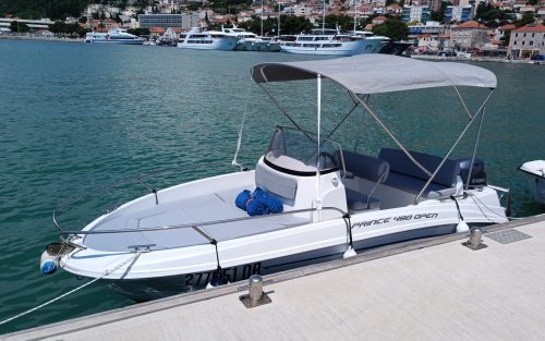 Prince 490 