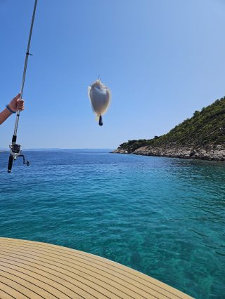 Catch of the day!🎣

#hvar #pakleniislands #boattrip #croatiafull...